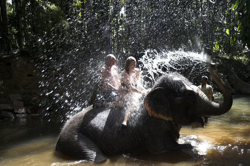 Elephant Shower | Getty Images Photo by Andrew Woodley/Education Images/Universal Images Group