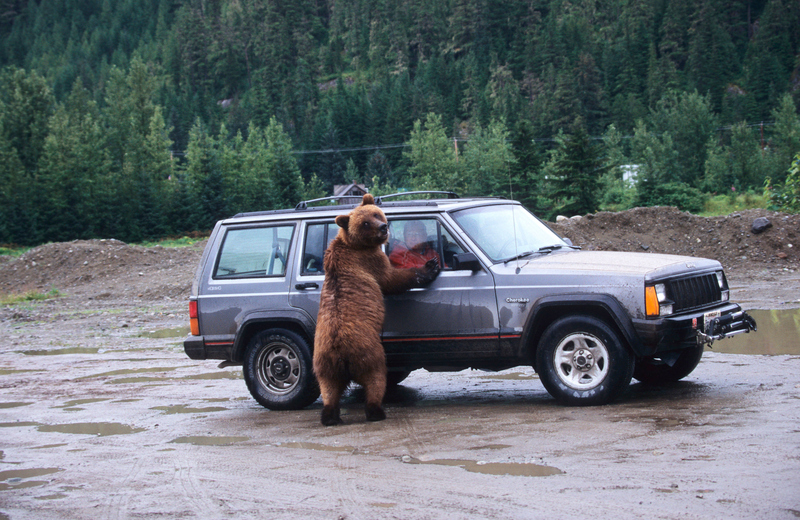 Bear With Me | Alamy Stock Photo