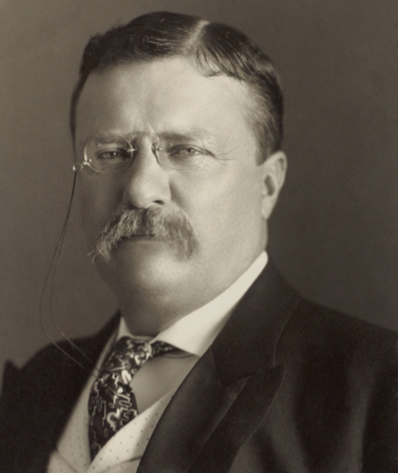 35. Theodore Roosevelt (No. 26) - IQ 153 | Shutterstock